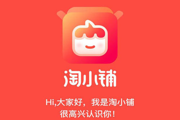 進(jìn)駐淘小鋪的企業(yè)需要什么東西